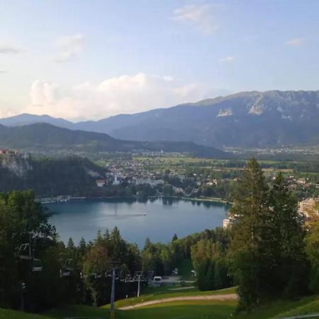 Zabreznica Apartment Mojca Near Bled מראה חיצוני תמונה
